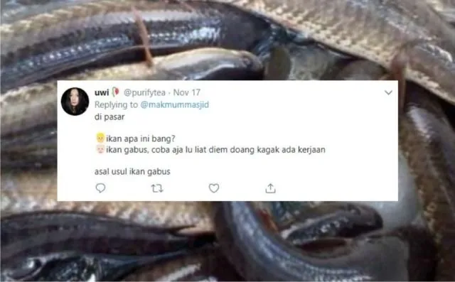 12+ Sejarah Asal Usul Nama Ikan Versi Warganet Twitter. Orang Awam mah Pasti Nggak Pernah Kepikiran! 24