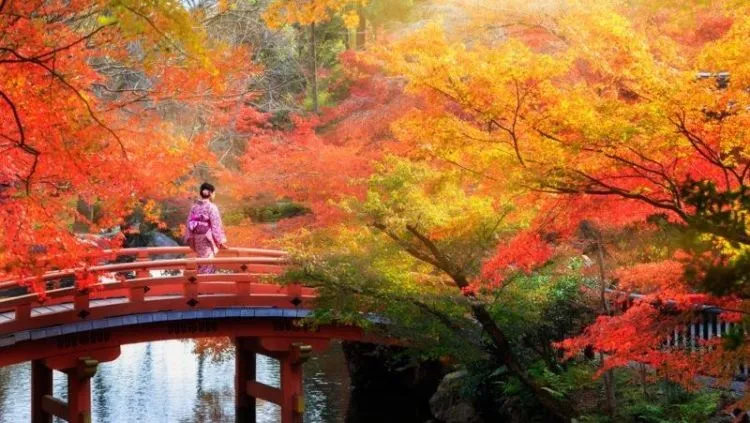 Kapan Waktu Terbaik untuk Berkunjung ke Jepang? Kamu yang Mau Liburan ke Sana Harus Tahu! 6