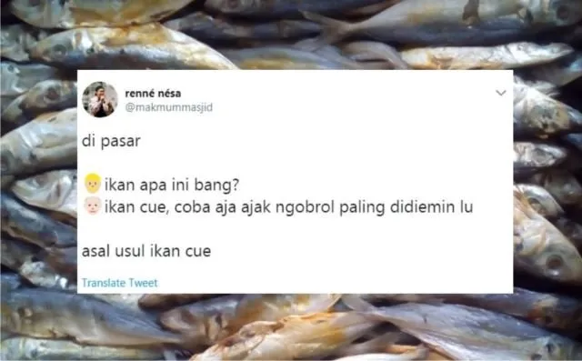 12+ Sejarah Asal Usul Nama Ikan Versi Warganet Twitter. Orang Awam mah Pasti Nggak Pernah Kepikiran! 14