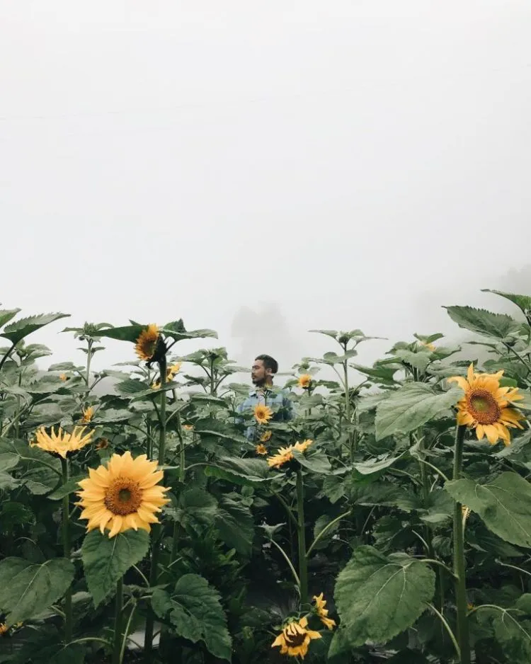 8 Destinasi Instagramable di Boyolali yang Bikin Jatuh Hati. Kapan Kamu Liburan ke Sini? 16