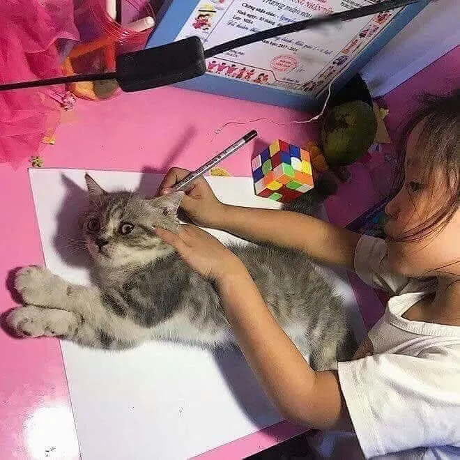 Meski Masih Bocah, Tapi Kelakuan 10 Anak ini Lebih Kocak dari Orang Dewasa. Konyolnya Alami Banget~ 18