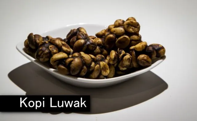 10 Makanan Paling Menjijikkan Sedunia di 'Digusting Food Museum'. Durian dan Kopi Luwak Termasuk Lho 13
