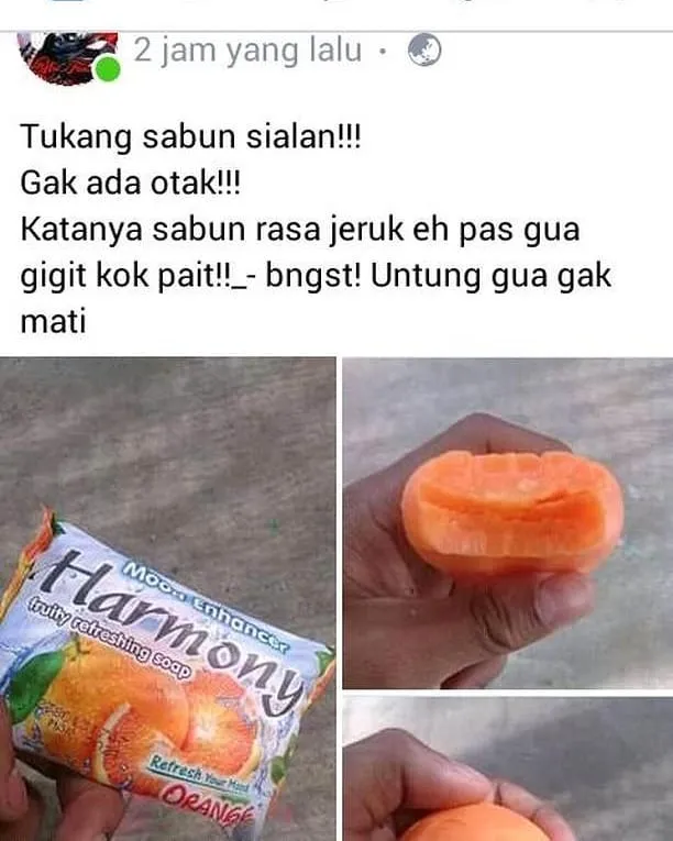 10 Tipe Unggahan yang Otomatis Bakal Dihujat, Tapi Kocaknya Nggak Ada Obat. Ngaco Banget sih! :D 19