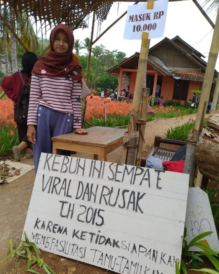 Taman Bunga Amarilis di Jogja Mekar Lagi. Datang dan Foto-Foto Boleh, Ngerusak Jangan! 14