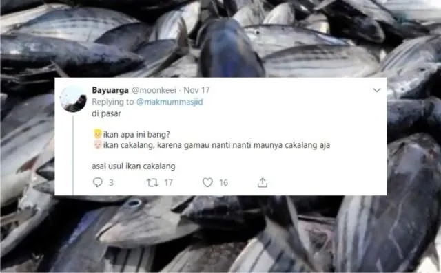 12+ Sejarah Asal Usul Nama Ikan Versi Warganet Twitter. Orang Awam mah Pasti Nggak Pernah Kepikiran! 17