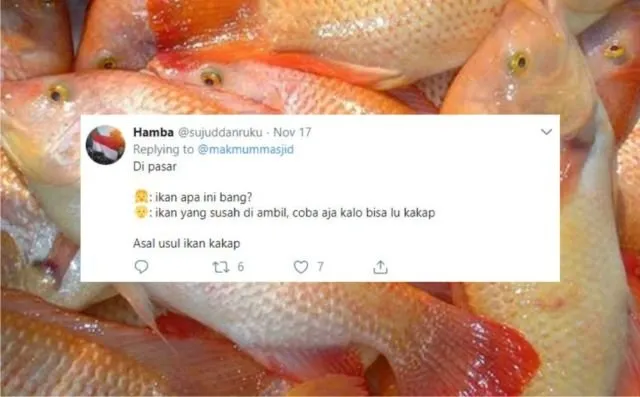 12+ Sejarah Asal Usul Nama Ikan Versi Warganet Twitter. Orang Awam mah Pasti Nggak Pernah Kepikiran! 18