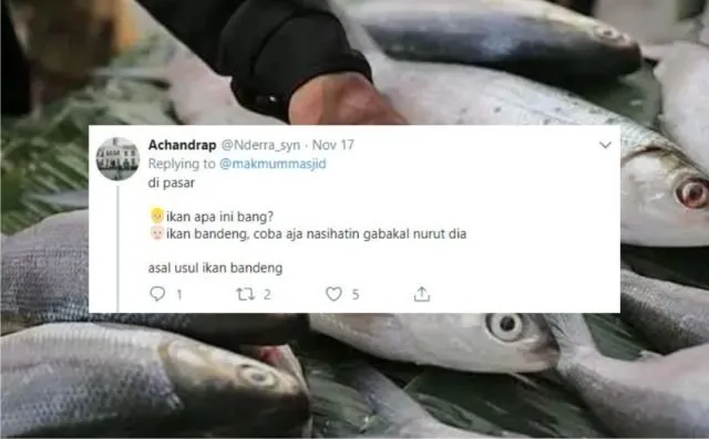 12+ Sejarah Asal Usul Nama Ikan Versi Warganet Twitter. Orang Awam mah Pasti Nggak Pernah Kepikiran! 19