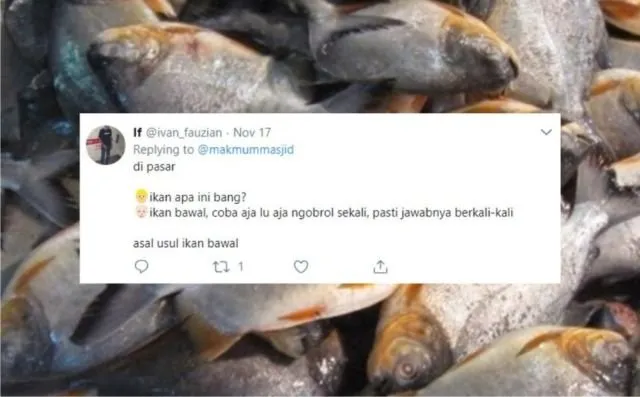 12+ Sejarah Asal Usul Nama Ikan Versi Warganet Twitter. Orang Awam mah Pasti Nggak Pernah Kepikiran! 21