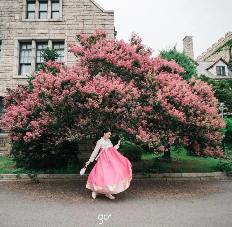 Mengulik Cantiknya 12+ Selebritas dan Instagram Darling yang Tampil dalam Balutan Hanbok Khas Korea. Kamu Pasti Jadi Mupeng Juga 21