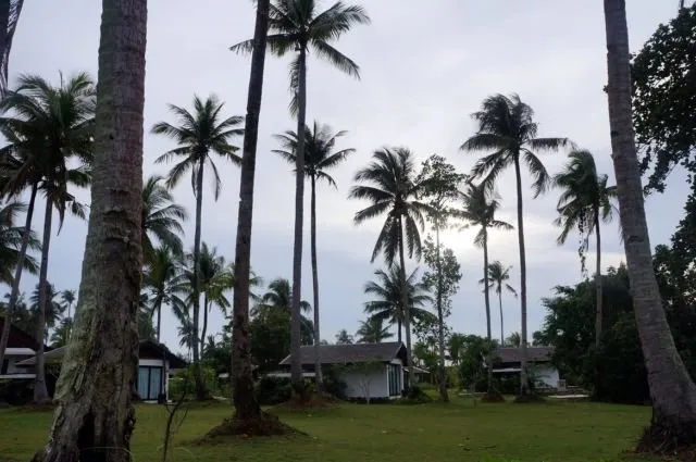 Sensasi Menginap Ala Crazy Rich di Resort Bintang 5 Pulau Bintan. Fix Mau Balik ke Sana Lagi! 7