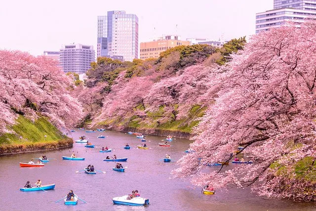 Wah, Jepang Bakal Pungut Pajak 'Sayonara Tax' Buat Turis Asing. Berlaku Mulai Januari 2019 Lho! 6