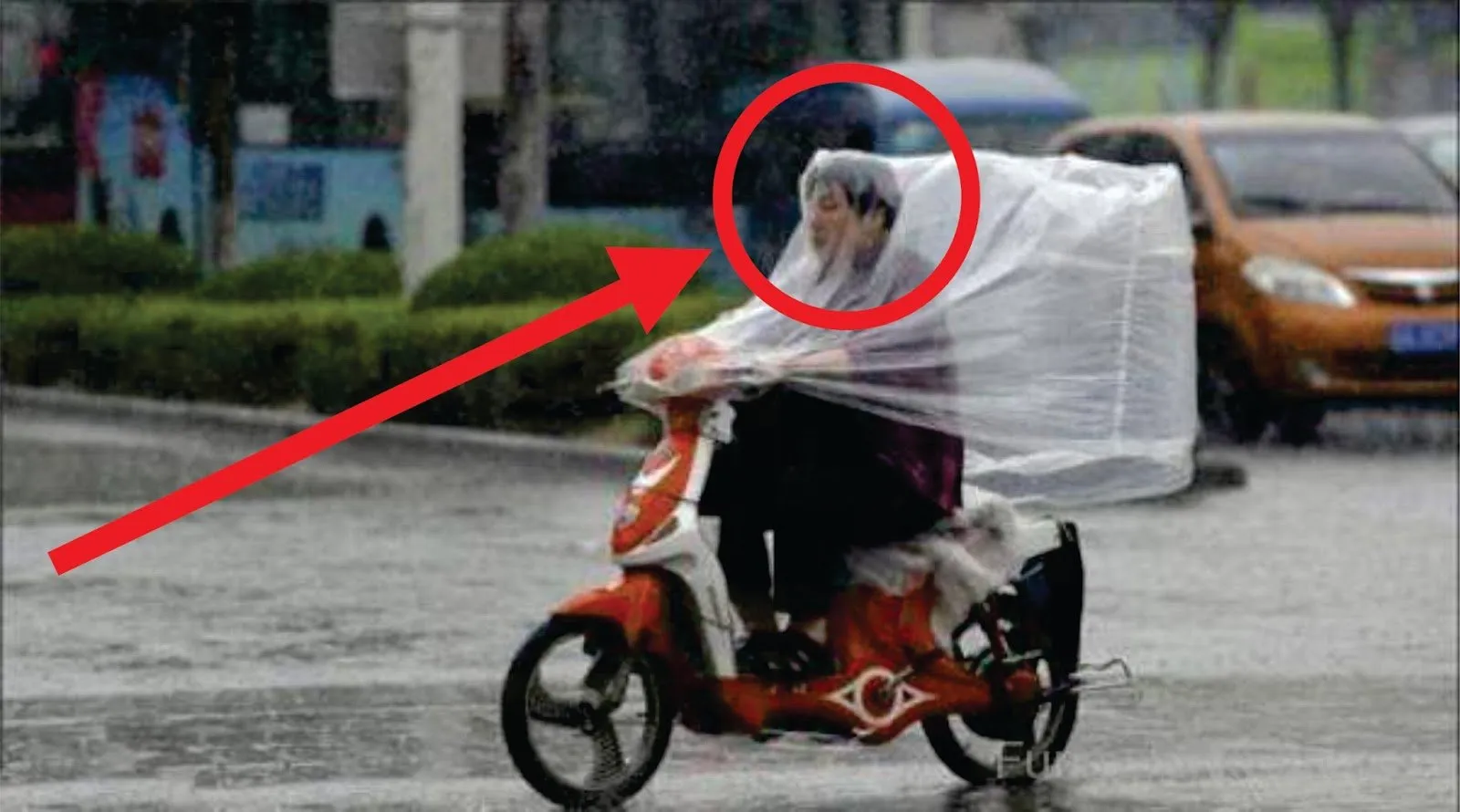 Kena Hujan di Tengah Jalan? Tenang, 10 Cara Berlindung ini Dijamin Bisa Bikin Kamu Semangat Lagi! 13