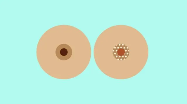 12 Gambaran Unik Semi Bikin Geli yang Terjadi Selama Kehamilan. Jangan Panik, Ini Normal! 16
