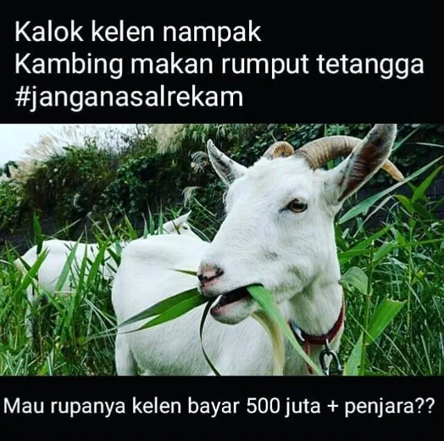 Warganet Ingatkan 16 Hal ini Kalau Kamu Nggak Pengen Dipenjara 6 Bulan dan Denda 500 Juta. Bahaya~ 31