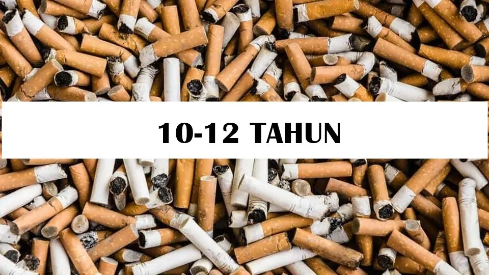 12 Jenis Sampah dan Lama Waktu untuk Terurai 21