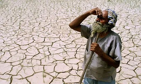 Petani India Kerap Bunuh Diri karena Terlilit Utang, Amitabh Bachchan Kucurkan Dana 8 M buat Mereka 7
