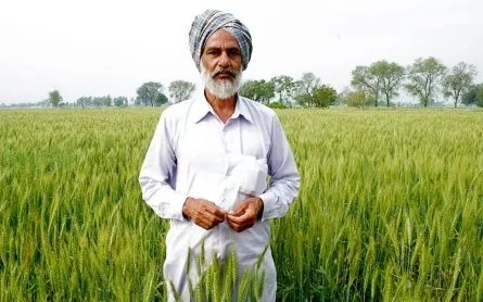 Petani India Kerap Bunuh Diri karena Terlilit Utang, Amitabh Bachchan Kucurkan Dana 8 M buat Mereka 6
