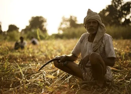 Petani India Kerap Bunuh Diri karena Terlilit Utang, Amitabh Bachchan Kucurkan Dana 8 M buat Mereka 8