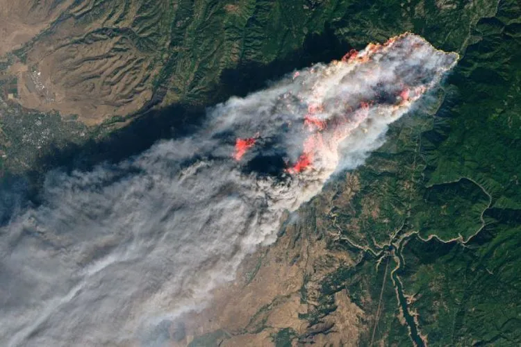 11+ Potret Mengerikan Kebakaran Hutan di California. Rumah Mewah Seleb Hollywood Banyak yang Kena! 14