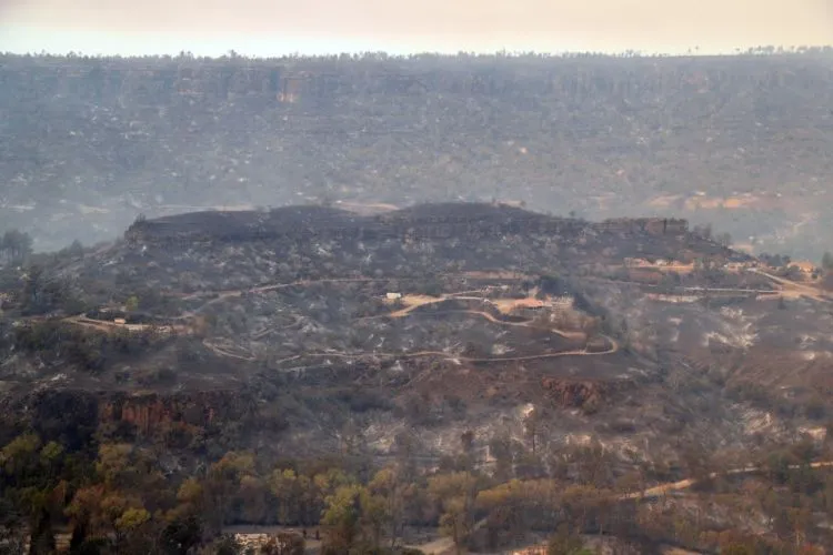11+ Potret Mengerikan Kebakaran Hutan di California. Rumah Mewah Seleb Hollywood Banyak yang Kena! 22