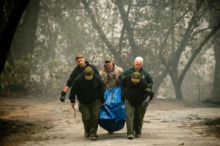 11+ Potret Mengerikan Kebakaran Hutan di California. Rumah Mewah Seleb Hollywood Banyak yang Kena! 15