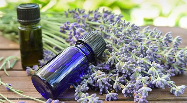 10+ Produk yang Bikin Mandi Shower-mu Naik Level. Makin Bersih dan Kulit Lebih Sip 17