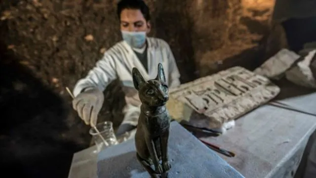Belasan Mumi Kucing Berusia Ribuan Tahun Baru Saja Ditemukan di Makam Tua. Berikut 9 Penampakannya! 14