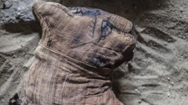 Belasan Mumi Kucing Berusia Ribuan Tahun Baru Saja Ditemukan di Makam Tua. Berikut 9 Penampakannya! 16