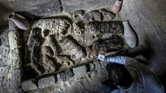 Belasan Mumi Kucing Berusia Ribuan Tahun Baru Saja Ditemukan di Makam Tua. Berikut 9 Penampakannya! 11