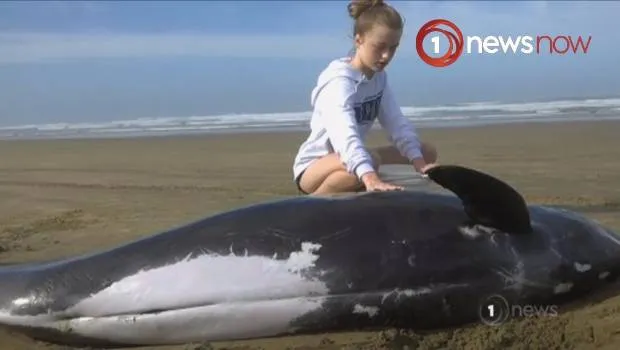 Ratusan Paus Ditemukan Mati Terdampar di Pantai New Zealand. Penyebabnya Sendiri Masih Jadi Misteri 6