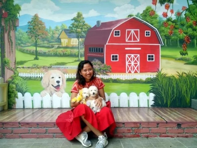 Yuk Main ke Rumah Gukguk di Lembang, Bandung. Anjing-Anjingnya Lucu dan Ramah Lho! 8