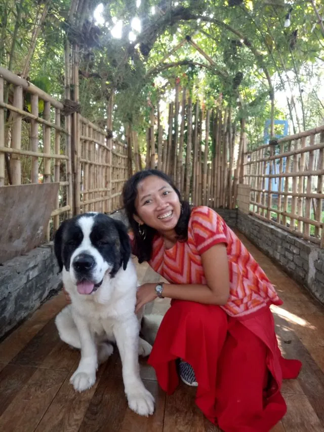 Yuk Main ke Rumah Gukguk di Lembang, Bandung. Anjing-Anjingnya Lucu dan Ramah Lho! 12