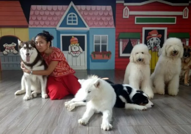 Yuk Main ke Rumah Gukguk di Lembang, Bandung. Anjing-Anjingnya Lucu dan Ramah Lho! 9