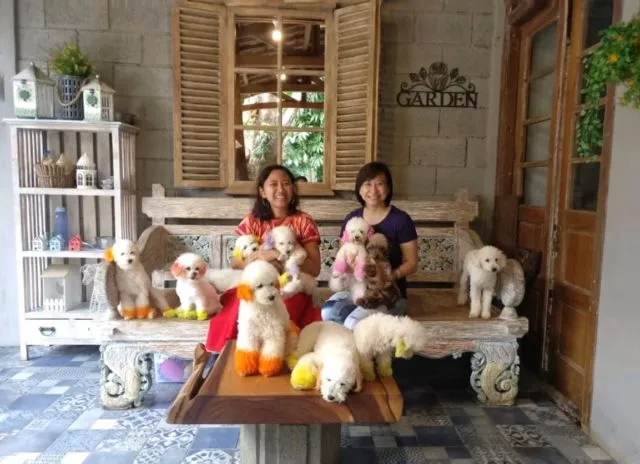 Yuk Main ke Rumah Gukguk di Lembang, Bandung. Anjing-Anjingnya Lucu dan Ramah Lho! 10