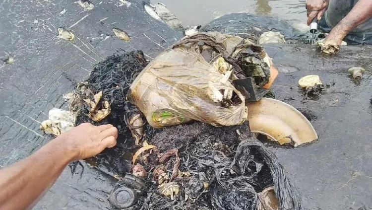 Paus Ditemukan Mati dengan Ratusan Plastik dan Sandal Jepit di Perutnya. Asli, Bikin Nggak Tega! 6