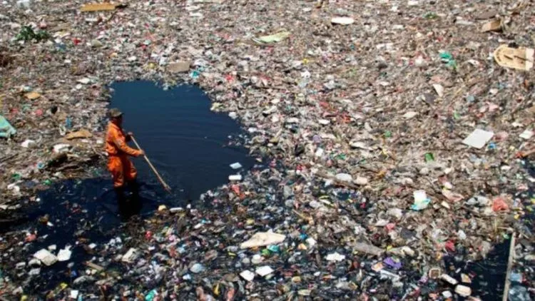 Paus Ditemukan Mati dengan Ratusan Plastik dan Sandal Jepit di Perutnya. Asli, Bikin Nggak Tega! 7