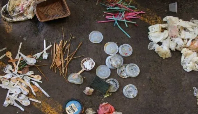 Paus Ditemukan Mati dengan Ratusan Plastik dan Sandal Jepit di Perutnya. Asli, Bikin Nggak Tega! 8