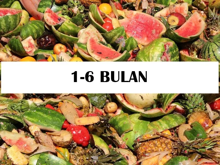 12 Jenis Sampah dan Lama Waktu untuk Terurai 23