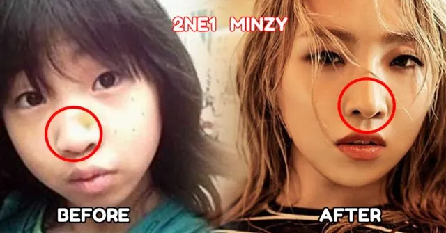 Bukan Cuma Soal Operasi Plastik aja, ini 12 Potret Betapa Beratnya Jadi Idol di Korea 13