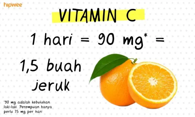 7 Kecukupan Gizi Harian yang Perlu Kamu Tahu. Nggak Boleh Kurang dan Jangan Berlebihan 8