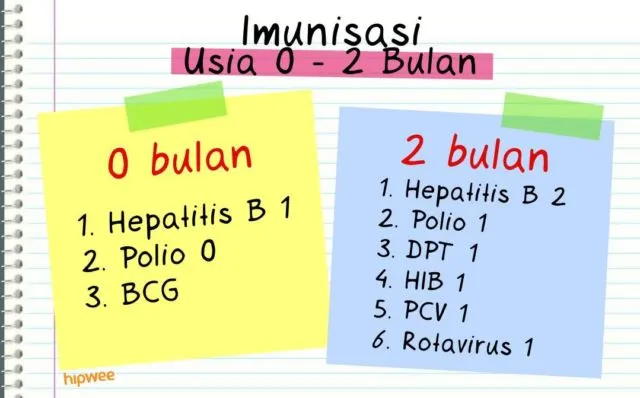 Daftar Imunisasi Anak Lengkap dengan Kalendernya. Calon Orangtua, Wajib Baca! 7