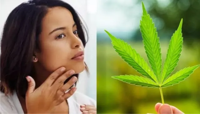 Ganja Mulai Populer Jadi Bahan Baku Kosmetik. Katanya Sih Nggak Bakal Bikin 'Fly' 6