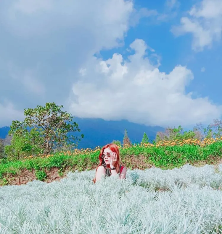Taman Edelweiss, Destinasi Wisata Hits dan Instagramable di Bali. Cocok untuk Liburan Akhir Tahun! 7