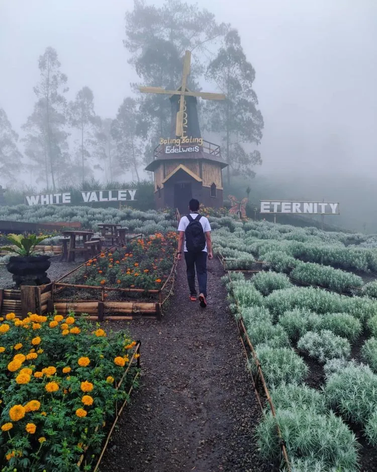 Taman Edelweiss, Destinasi Wisata Hits dan Instagramable di Bali. Cocok untuk Liburan Akhir Tahun! 8