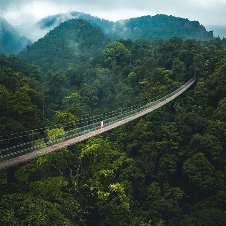 Jembatan Gantung Situ Gunung, Destinasi Instagramable di Sukabumi. Ridwan Kamil Getol Promosi! 5