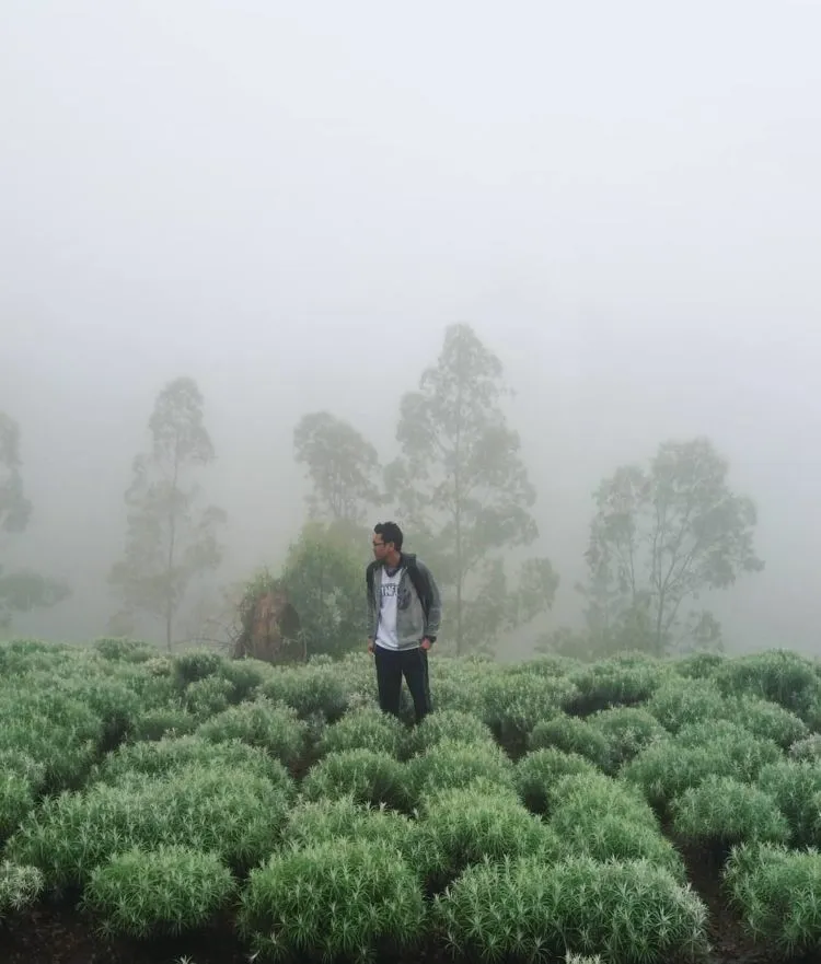 Taman Edelweiss, Destinasi Wisata Hits dan Instagramable di Bali. Cocok untuk Liburan Akhir Tahun! 5