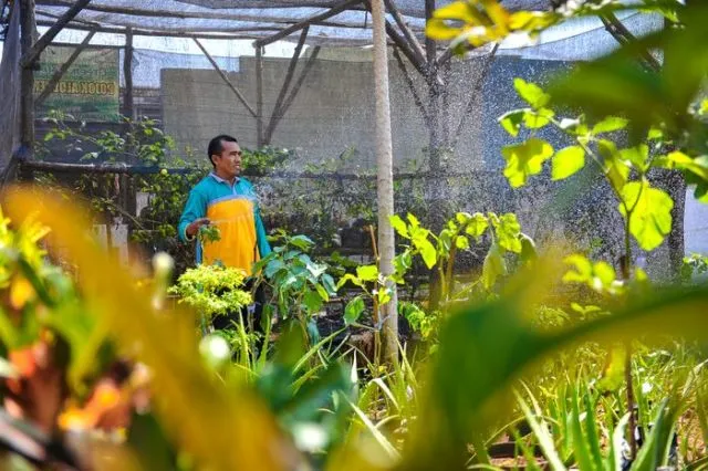 Ramah Lingkungan dan Bisa Menghasilkan, Ini 5 Potret Desa Doudo di Gresik yang Luar Biasa 6