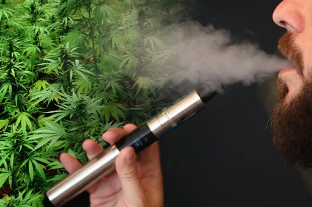 Ganja Mulai Populer Jadi Bahan Baku Kosmetik. Katanya Sih Nggak Bakal Bikin 'Fly' 7