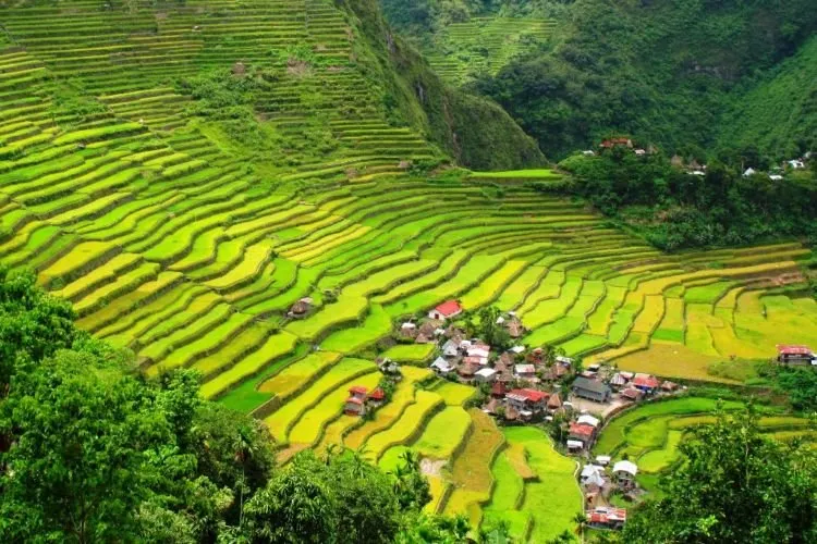 5 Destinasi Wisata Cantik di Filipina, Negara Catriona Gray Miss Universe 2018. Indah Banget Ternyata! 9