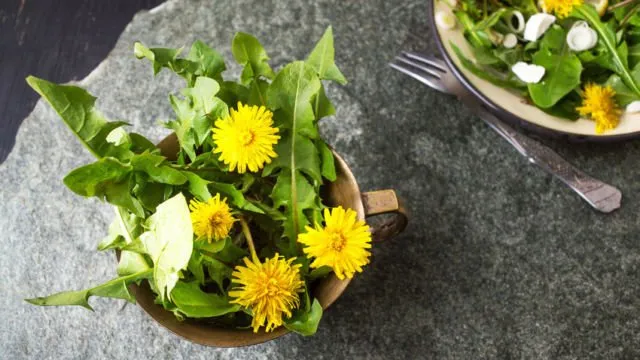 10 Objek Absurd yang Ternyata Bisa Aja Dimakan Kalau Mau. Dari Kapur, Batang Pohon, Sampai Tanah! 18